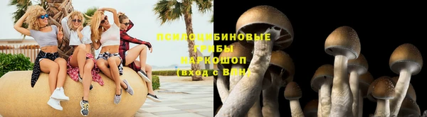 крисы Арсеньев