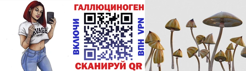 ссылка на мегу вход  shop состав  Галлюциногенные грибы Psilocybine cubensis  Магадан 